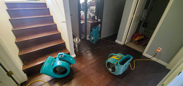 Best Water damage restoration near me  in Dakota City, NE