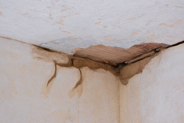 Best Ceiling water damage repair  in Dakota City, NE