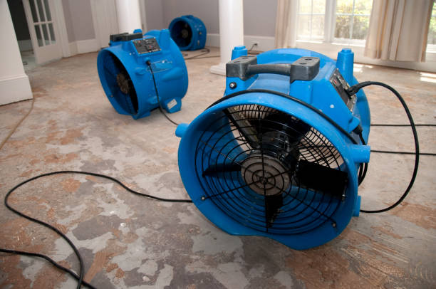 Fire Damage Restoration in Dakota City, NE