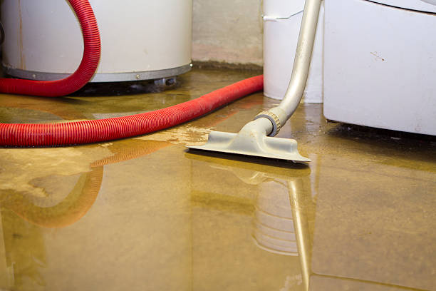 Best Flooded house restoration  in Dakota City, NE