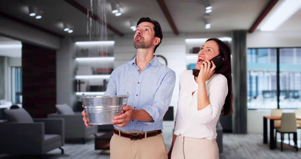 Best Mold removal after water damage  in Dakota City, NE